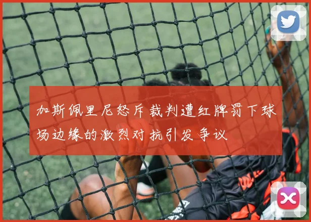 加斯佩里尼怒斥裁判遭红牌罚下球场边缘的激烈对抗引发争议