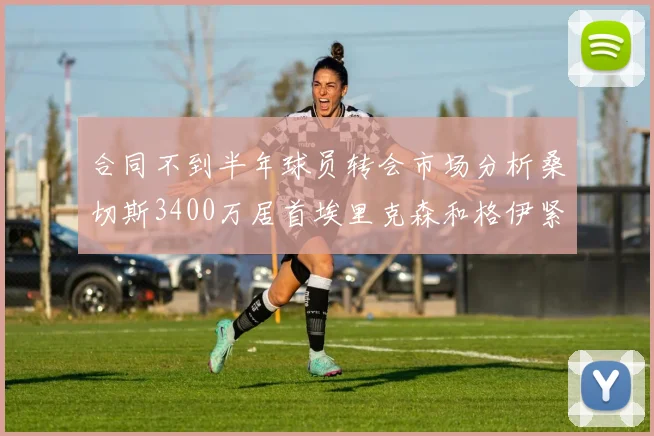合同不到半年球员转会市场分析桑切斯3400万居首埃里克森和格伊紧随其后